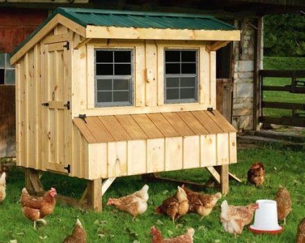 Hur man bygger en gör-det-själv kycklingsko i landet, utrustning och nödvändiga material
