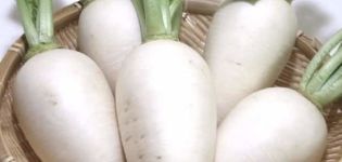 Корисна својства и контраиндикације беле ротквице за људско тело
