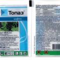 Instruktioner för användning av fungiciden Topaz för bearbetning av druvor under våren och hösten och väntetider