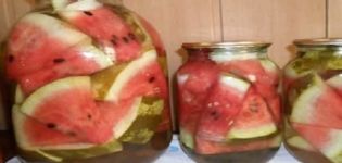 De beste recepten voor het instant koken van gezouten watermeloenen voor de winter, met en zonder sterilisatie