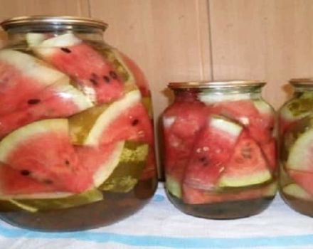 De bästa snabbrecepten för saltade vattenmeloner för vintern, med och utan sterilisering