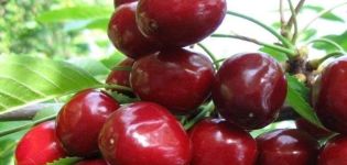 Beskrivning och egenskaper hos körsbärsorten Melitopol, odlingens finesser