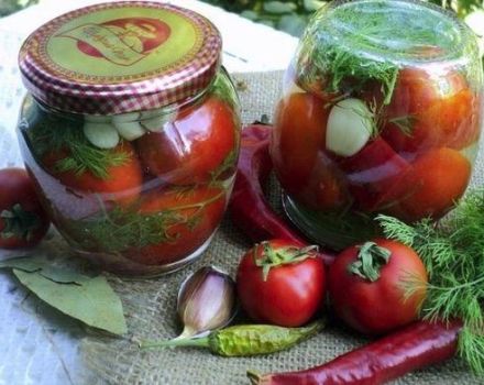 12 beste recepten om stap voor stap pittige tomaten voor de winter te koken