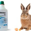 относно използването на Baykoks за зайци, състав и срок на годност