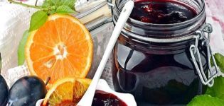Jednostavan recept za pravljenje džema od šljiva s narančom za zimu