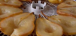 TOP 4 enkla recept för att tillverka torkade päron hemma