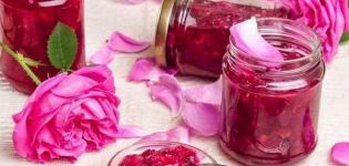 10 naminių rožių žiedlapių uogienės receptų
