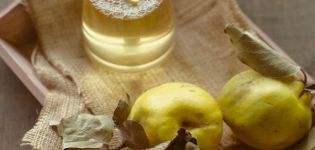 4 best recipes for making wine from quince at home