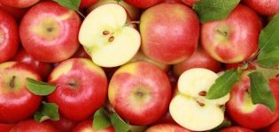18 najlepších receptov na výrobu prírezov jabĺk na zimu