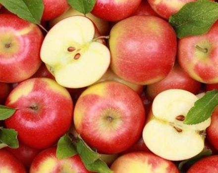 18 beste recepten voor het maken van appelschijfjes voor de winter