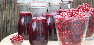 TOP 22 opskrifter til tilberedning af blåbær uden madlavning til vinteren