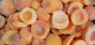 Kaip tinkamai užšaldyti abrikosus žiemai šviežius šaldytuve ir ar tai įmanoma