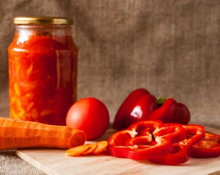 TOP 3 recepty na výrobu maďarských predjedál na zimu s paprikou a mrkvou