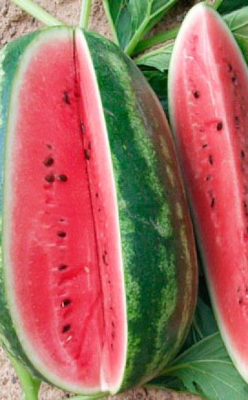 Beskrivelse og karakteristika for vandmelonsorten Pekingglæde, sorter og vækstbetingelser