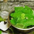 Recipes for pickling grape leaves for the winter