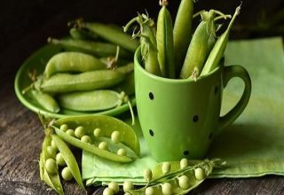 Sifat berguna dan bahaya kacang polong untuk kesihatan tubuh