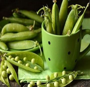 Useful properties and harm of green peas for the health of the body