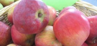 Beschreibung der Sorte und Merkmale des Apfelbaums Screen, Frostbeständigkeit und Ertrag