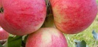 Orlovim ābolu šķirnes apraksts un īpašības, stādīšana, audzēšana un kopšana