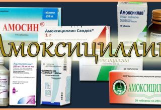 Instruktioner för användning och sammansättning av Amoxicillin för nötkreatur, konsumtionsgrad