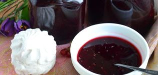 TOP 21 receptas, kaip gaminti skanius juodųjų serbentų uogienes žiemai