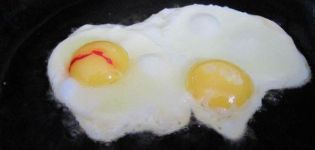 Orsakerna till att blodet uppträder i äggulan och vitt på ett kycklingägg, lösningen på problemet och är det möjligt att äta