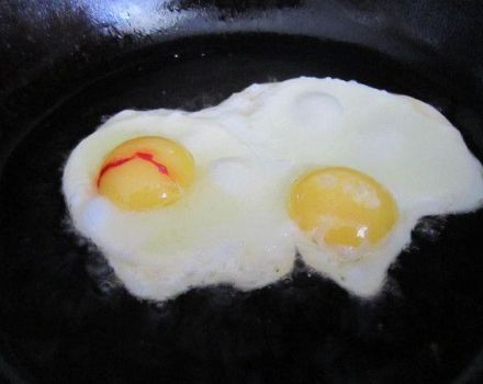 Разлози за појаву крви у жуманцету и беланцу пилећег јајета, решење проблема и да ли је могуће јести