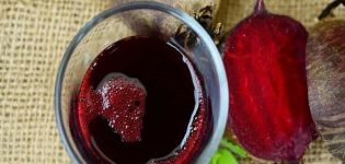 4 paprasti receptai burokėlių vyno gamybai namuose