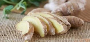How and where to properly store ginger at home fresh for the winter