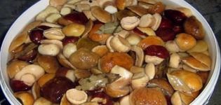 12 stapsgewijze recepten voor het bereiden van ingelegde eekhoorntjesbrood voor de winter in potten