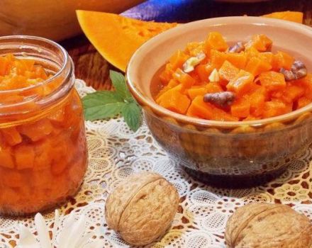TOP-11 recept för steg-för-steg matlagning pumpasylt med torkade aprikoser