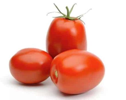 Descripción de la variedad de tomate Slivovka y sus características.