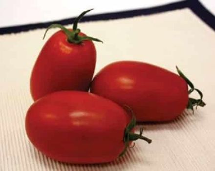 Beschrijving van het tomatenras Marianna F1, zijn kenmerken en opbrengst