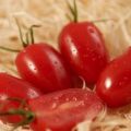 Egenskaper och beskrivning av tomatsorten Ladies fingrar, dess utbyte