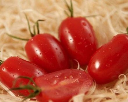 Egenskaper och beskrivning av variationen av tomater Dam fingrar, dess utbyte