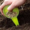 Comment et quand semer, cultiver et entretenir la coriandre avant l'hiver