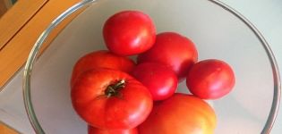 Beskrivning av Vasilina-tomatsorten, dess egenskaper och odling