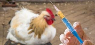 Regeling en regels voor vaccinatie van kippen thuis, vaccinatietafel