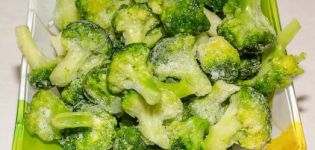 TOP 10 receptov o tom, ako zmraziť brokolicu na zimu doma s varom aj bez neho