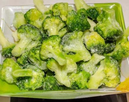 TOP 10 opskrifter på, hvordan man fryser broccoli til vinteren derhjemme med og uden kogning