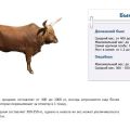 Hvor meget vejer en tyr i gennemsnit og en tabel efter alder, top 4 beregningsmetoder