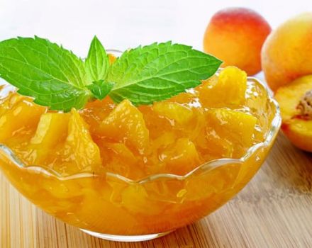 Jednoduché recepty na výrobu broskyňového džemu s pomarančmi na zimu