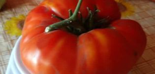 Pomidorų veislės „Marshal Pobeda“ ir jos derliaus aprašymas