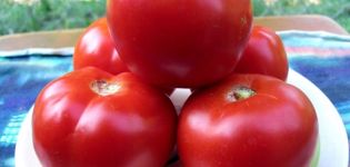 Charakteristika a opis odrody rajčiaka Red Guard, jeho výnos