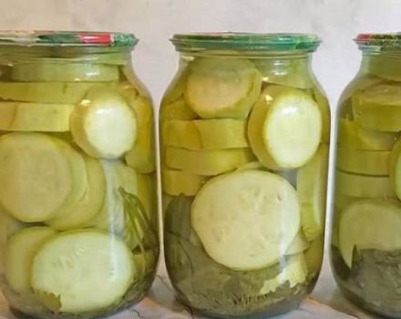 Steg för steg recept för att göra marinerad zucchini med smör för vintern