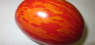 Caractéristiques et description de la variété de tomate œuf de Pâques