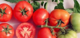 Χαρακτηριστικά και περιγραφή της ποικιλίας ντομάτας Sanka, της απόδοσης και της καλλιέργειάς της