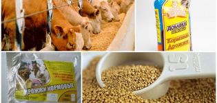 Composition chimique et instructions pour l'utilisation de la levure alimentaire pour bovins