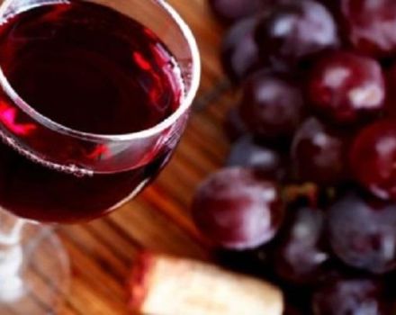 Tekniken för att göra vin från frysta druvor hemma