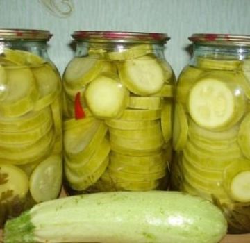 Sofortige Rezepte für knusprige, leicht gesalzene Zucchini in 5 Minuten